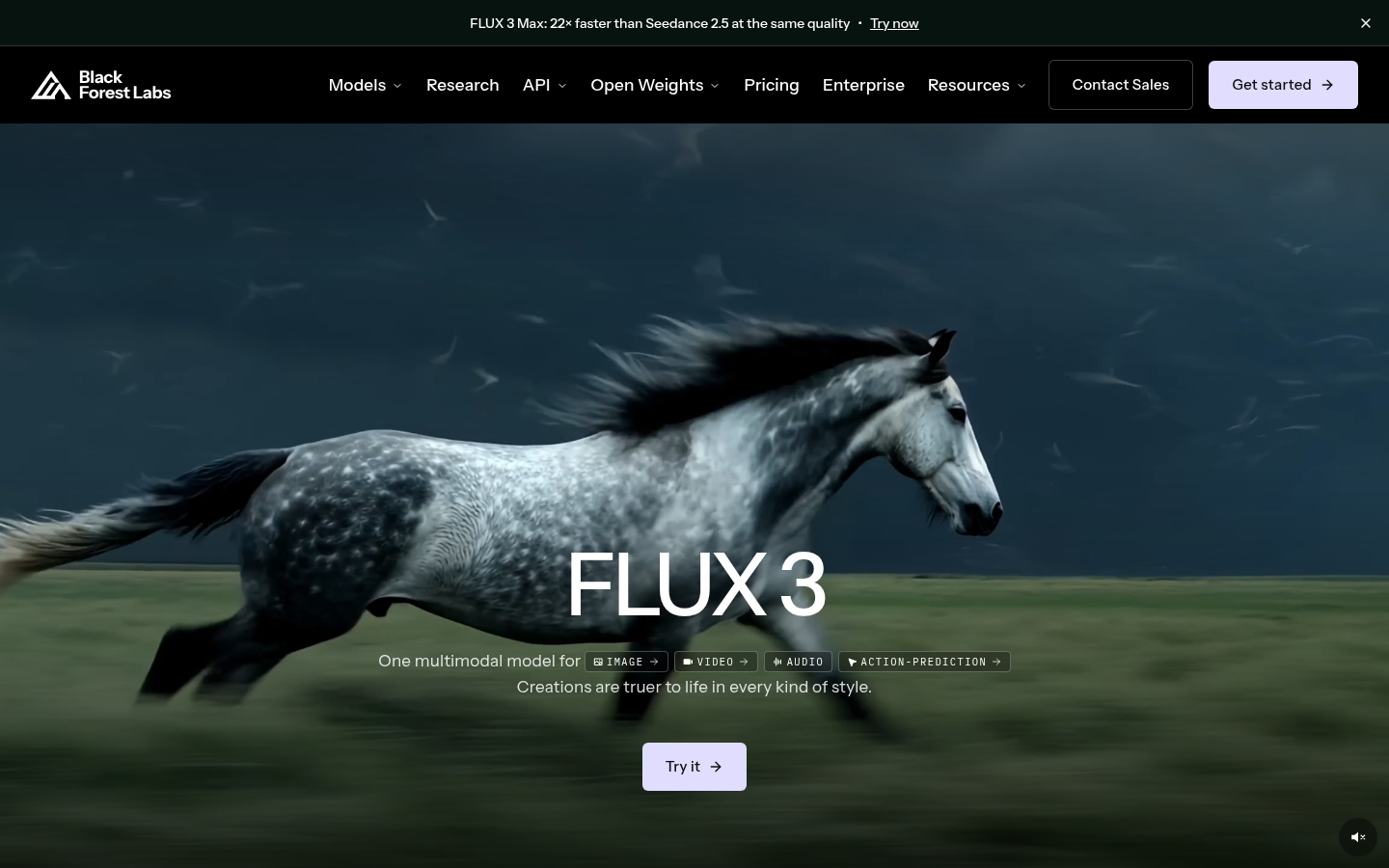 Homepage of the website, as captured
