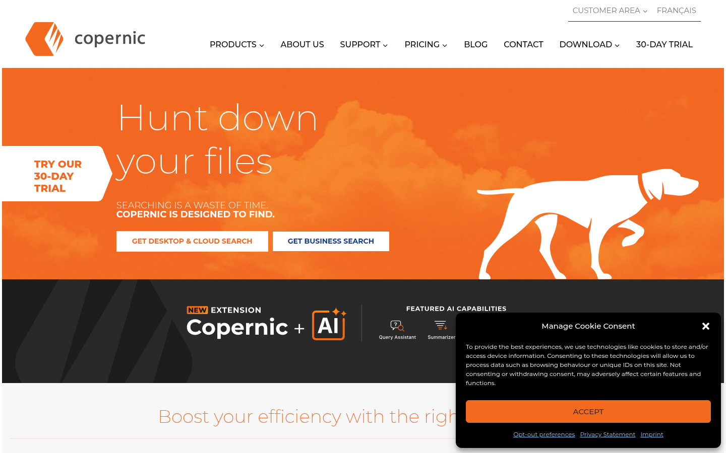 Homepage of the website, as captured