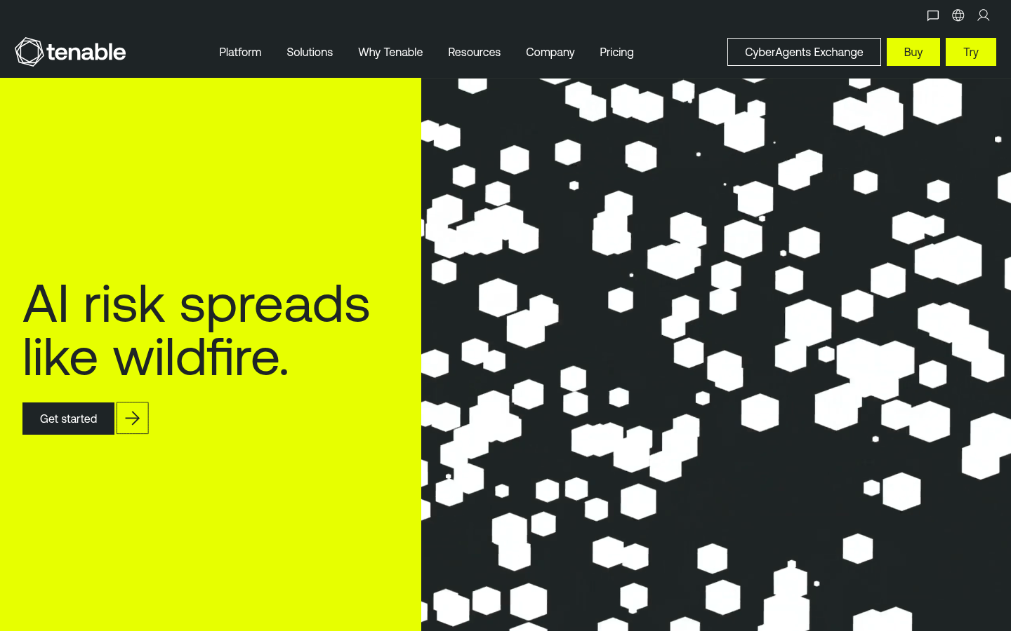Homepage of the website, as captured