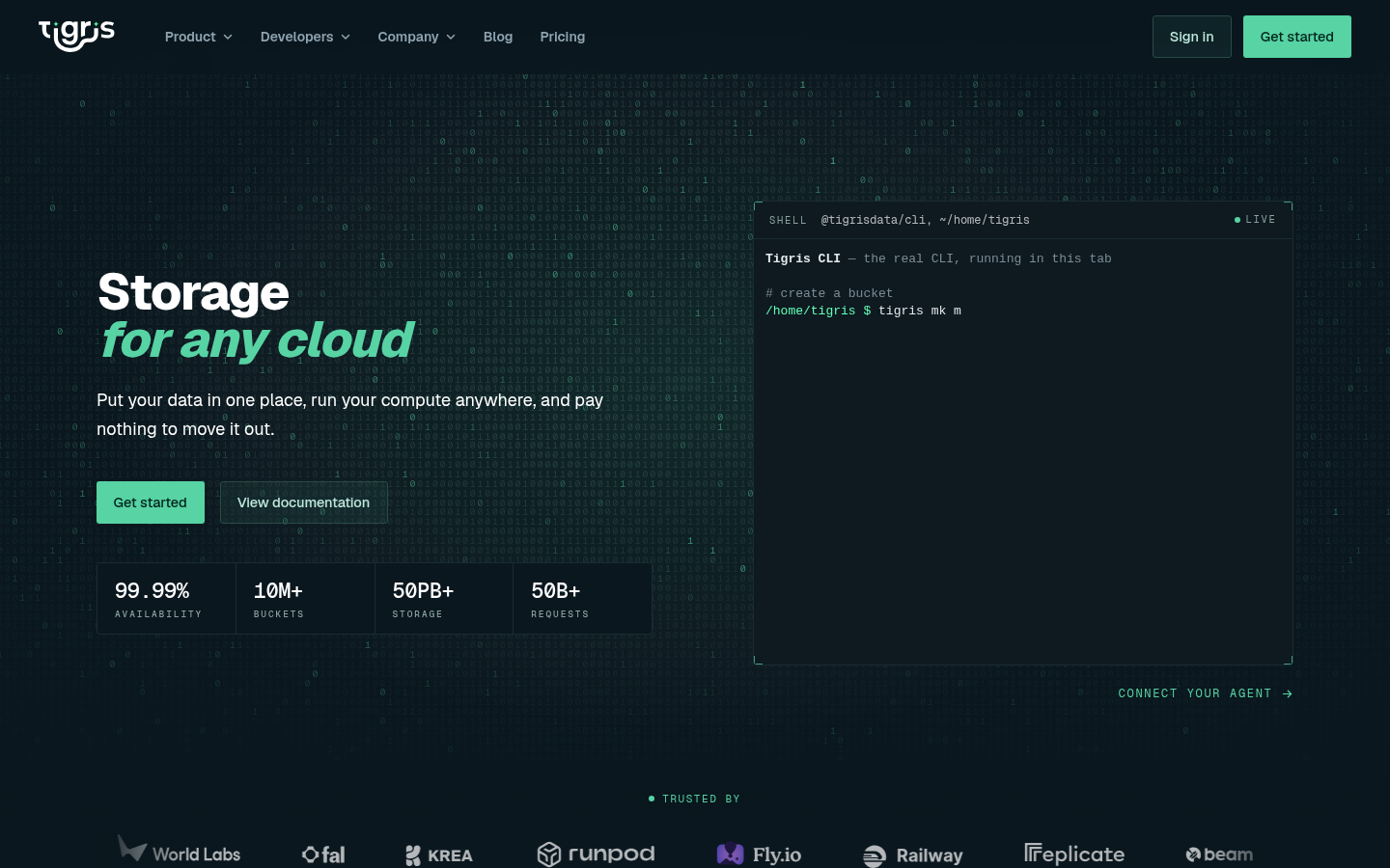 Homepage of the website, as captured