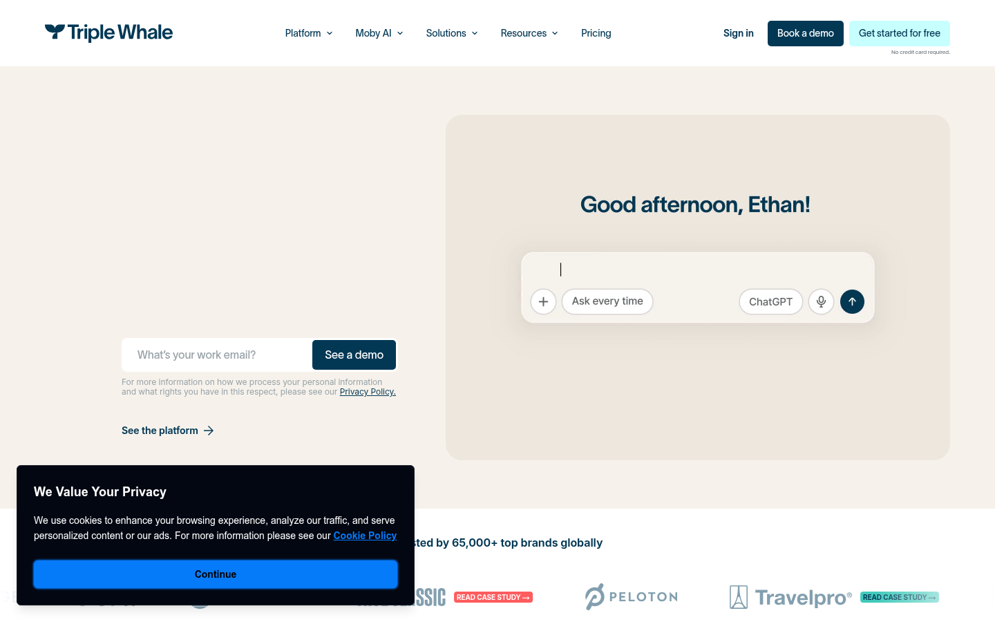 Homepage of the website, as captured